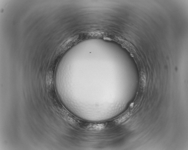 X0000060260665200511181355