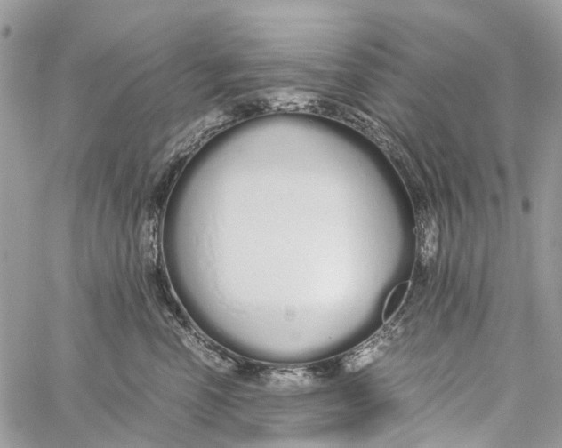 X0000060260666200511181355