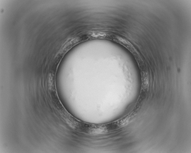 X0000060260667200511181355