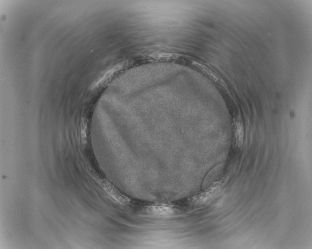 X0000060260668200511181355