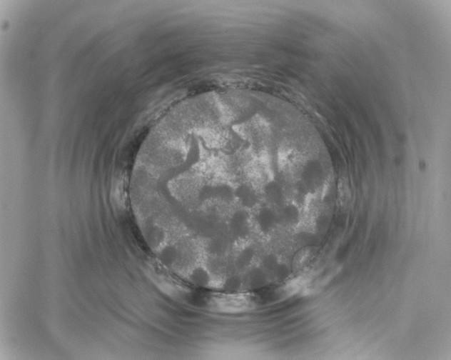 X0000060260671200511181355