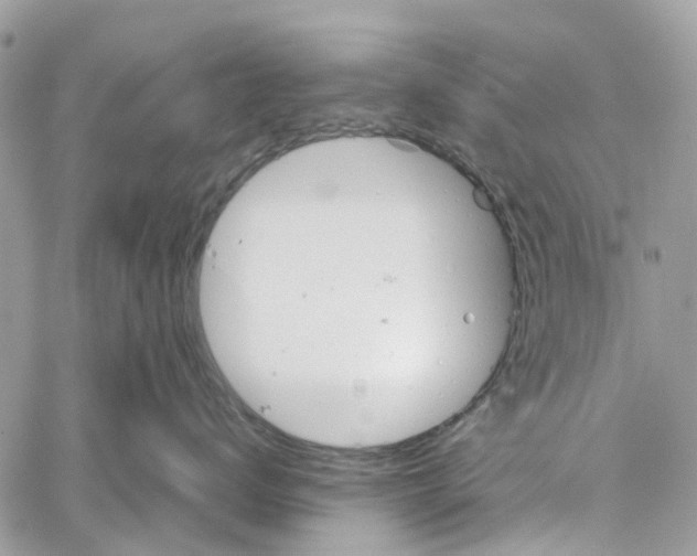 X0000060260672200511181355