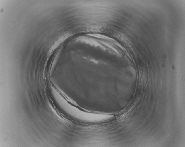 X0000060260674200511181355