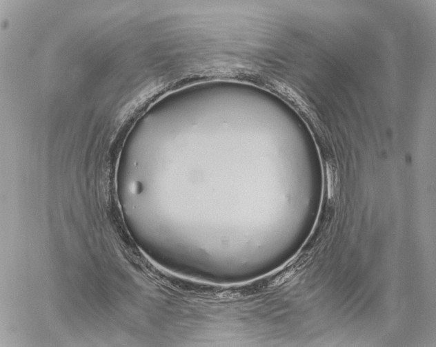 X0000060260675200511181355