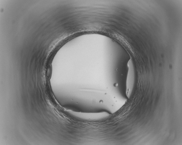 X0000060260676200511181355