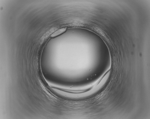 X0000060260677200511181355