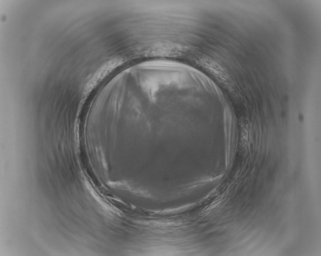 X0000060260678200511181355