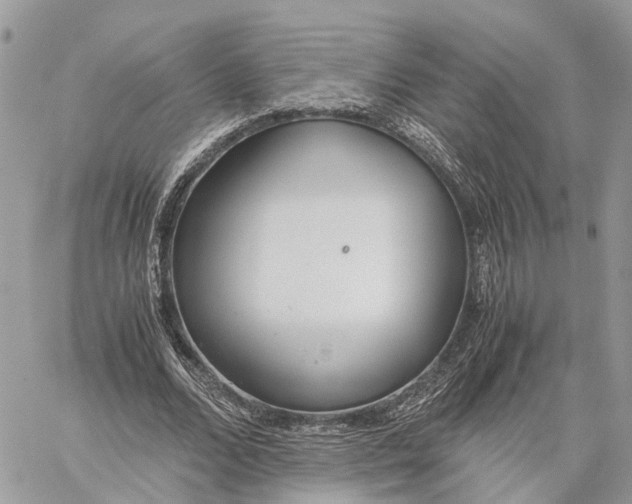 X0000060260680200511181355