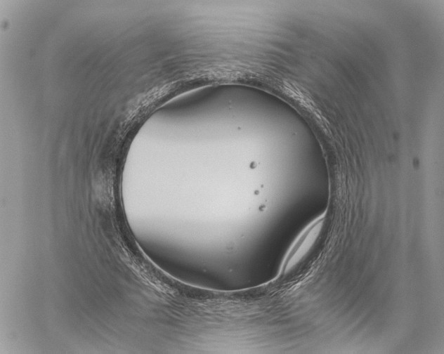 X0000060260681200511181355