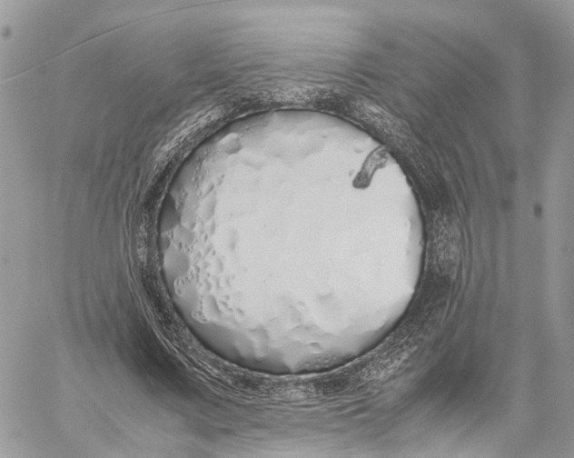 X0000060260683200511181355