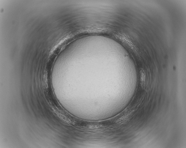 X0000060260684200511181355