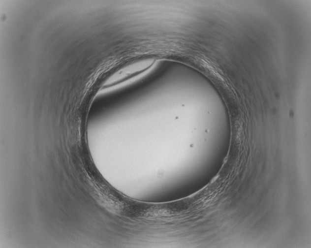 X0000060260685200511181355