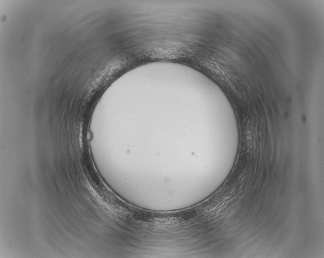 X0000060260686200511181354