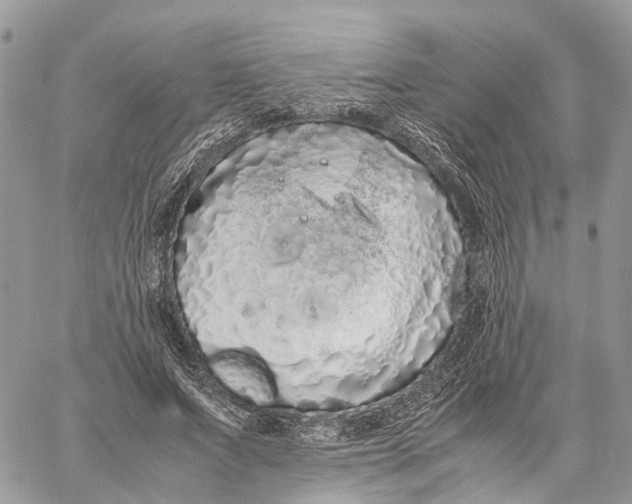 X0000060260687200511181354