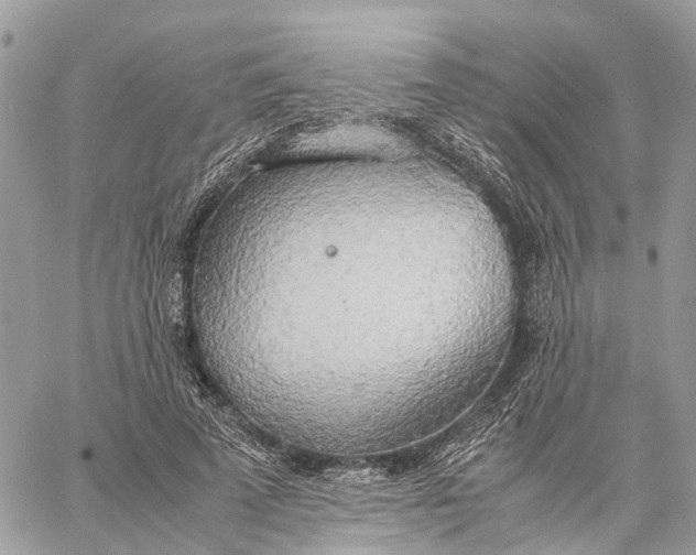 X0000060260689200511181354