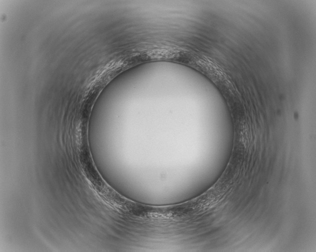 X0000060260690200511181354