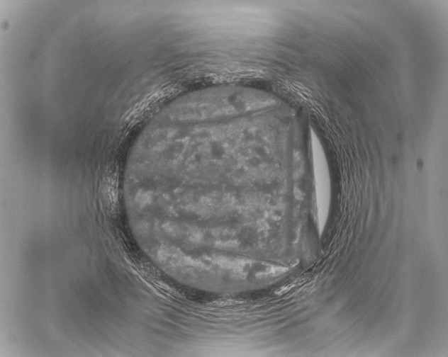 X0000060260691200511181354