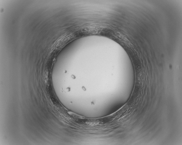 X0000060260693200511181354