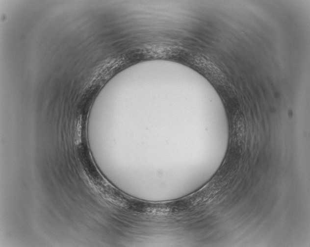 X0000060260694200511181354