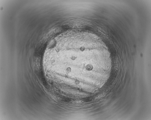 X0000060260695200511181354