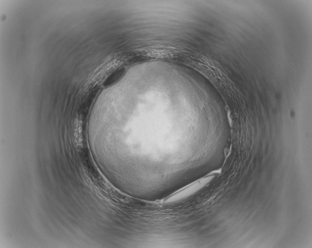 X0000060260696200511181354