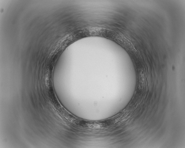 X0000060260698200511181354