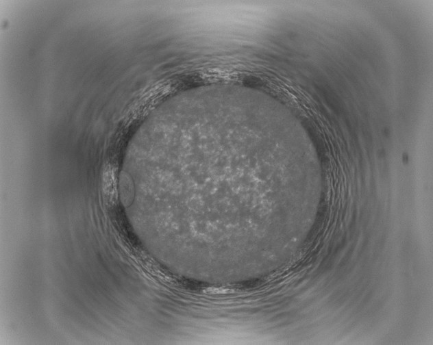 X0000060260699200511181354