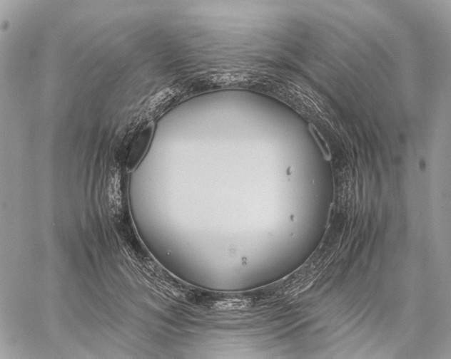 X0000060260700200511181354