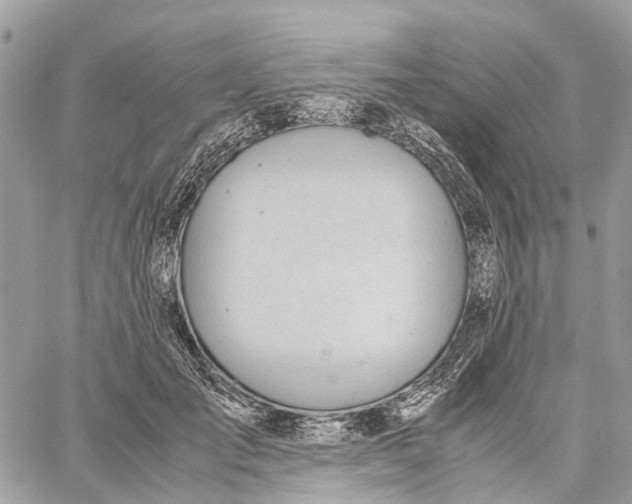 X0000060260701200511181354