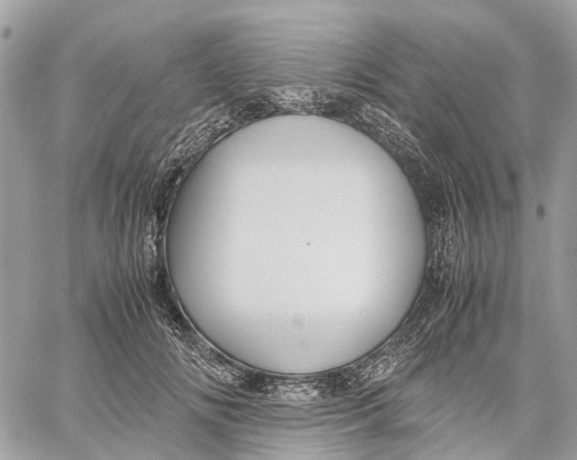 X0000060260702200511181354