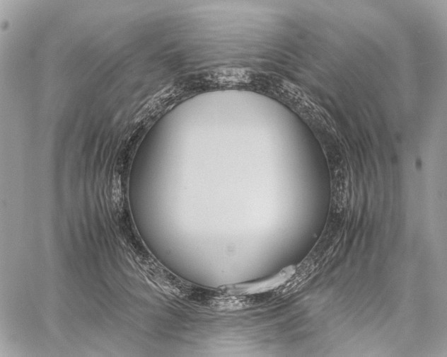 X0000060260704200511181354