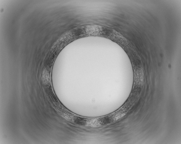 X0000060260705200511181354