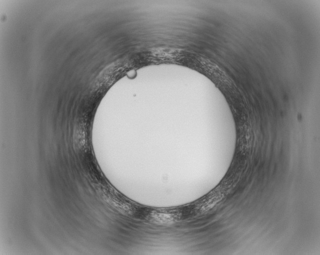 X0000060260706200511181354