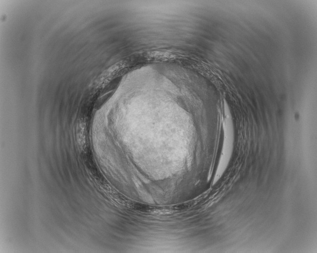 X0000060260708200511181354