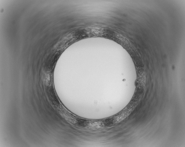 X0000060260709200511181354