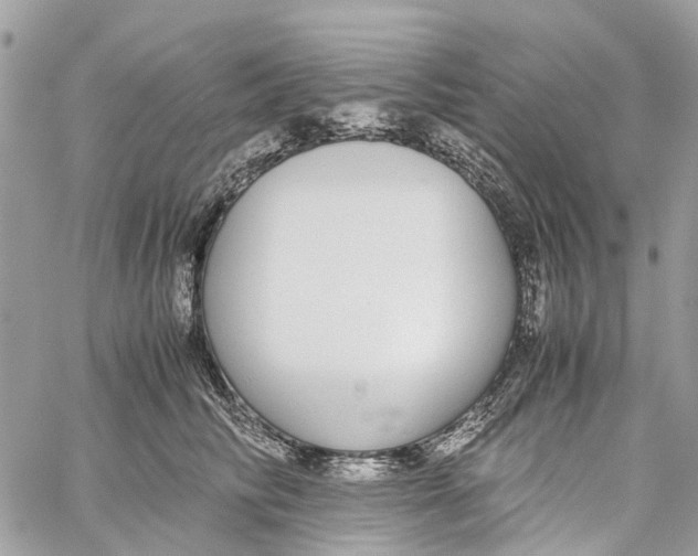 X0000060260710200511181354