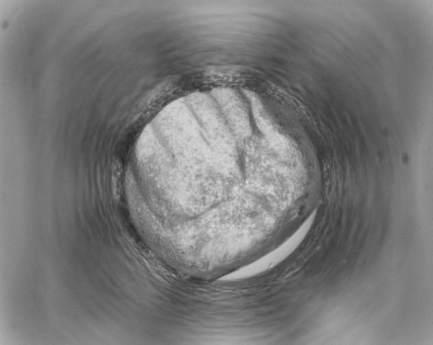 X0000060260712200511181354