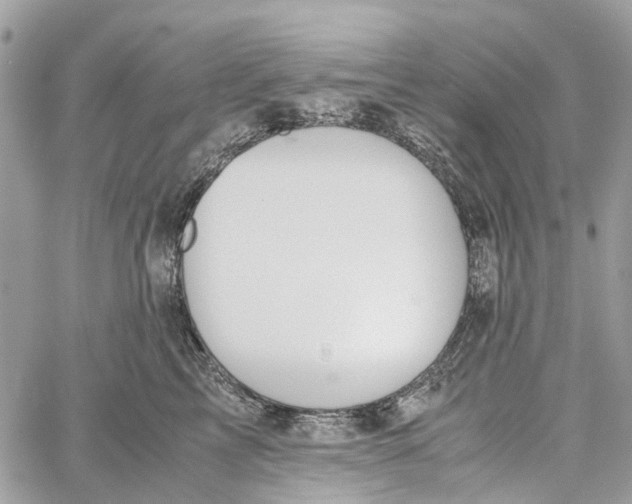 X0000060260713200511181354