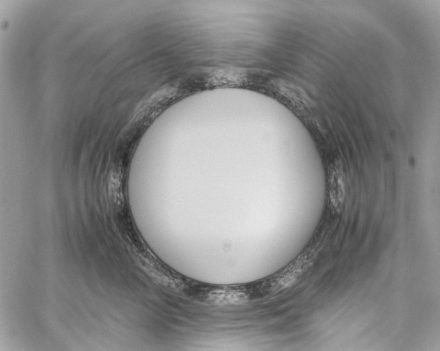 X0000060260714200511181354