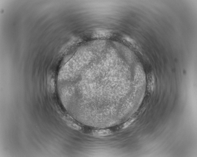 X0000060260716200511181354