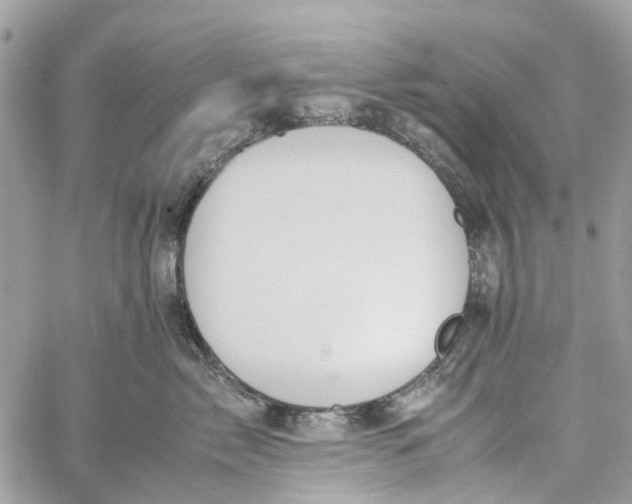 X0000060260717200511181354