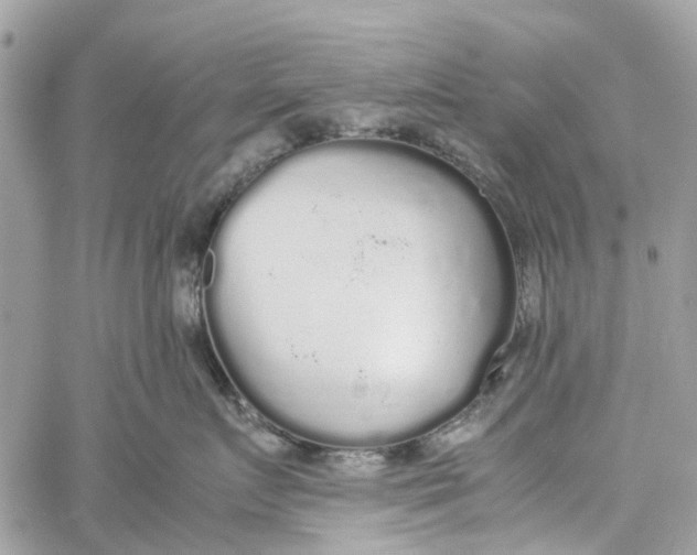 X0000060260719200511181354