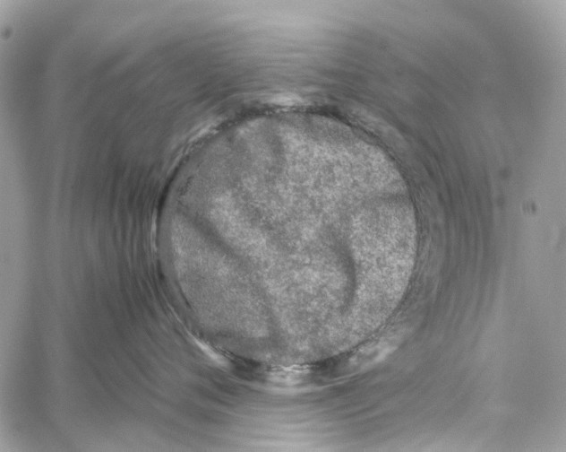 X0000060260720200511181354