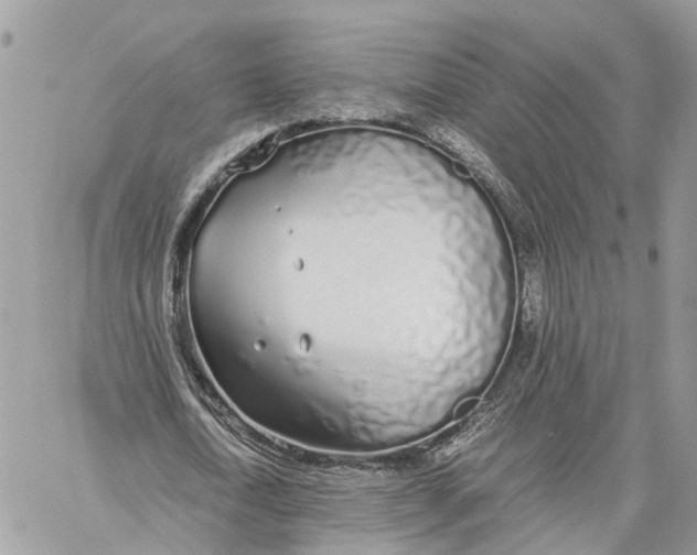 X0000060260722200511181353