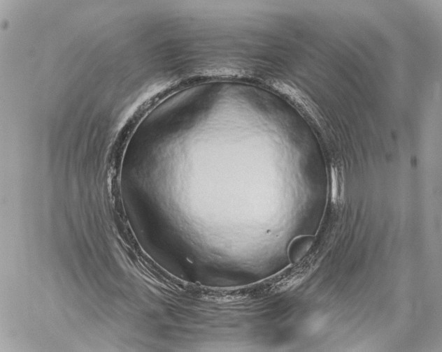 X0000060260723200511181353