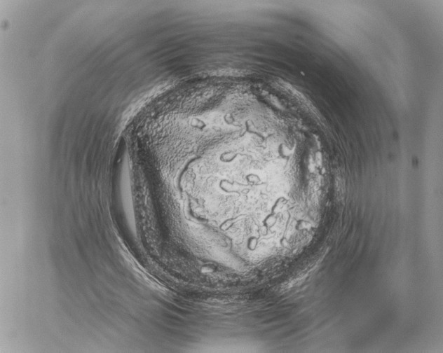 X0000060260725200511181353