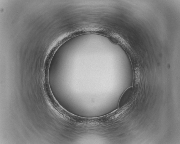 X0000060260726200511181353