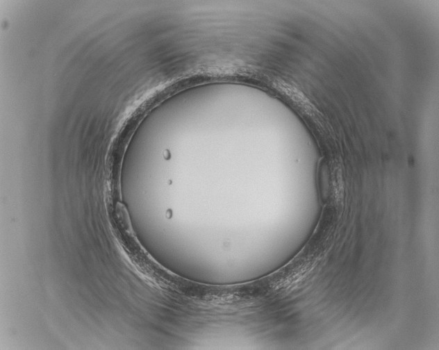 X0000060260728200511181353