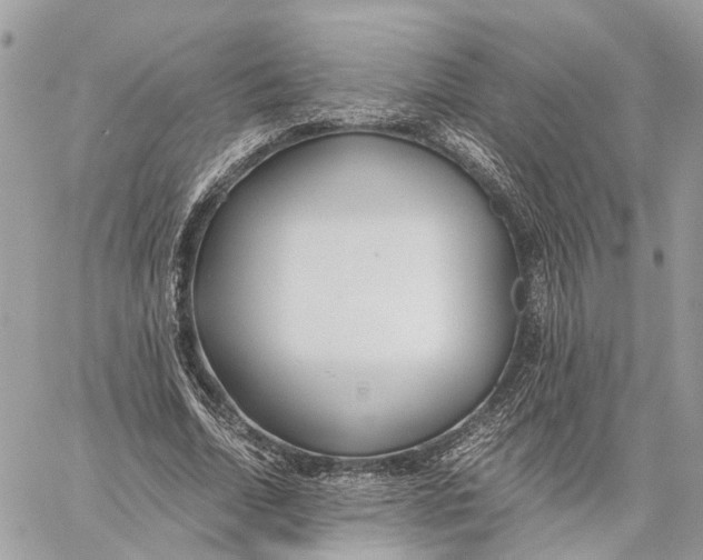 X0000060260730200511181353