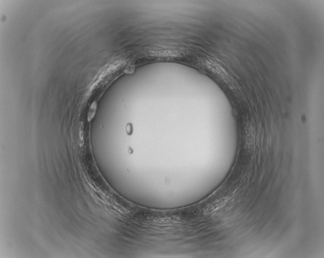 X0000060260731200511181353